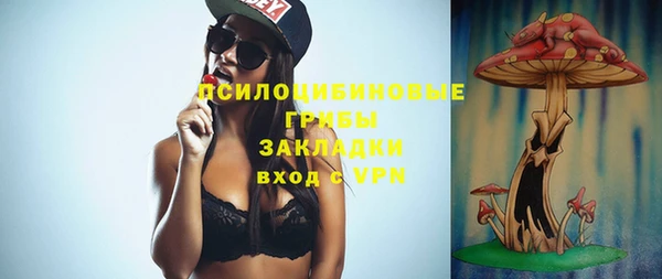 эйфоретик Алексин