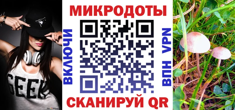 Псилоцибиновые грибы GOLDEN TEACHER  наркота  Бакал 